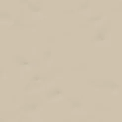 Vives Faïence Berta Beige 20 x 20cm ( vendu par boite de 1 m² )