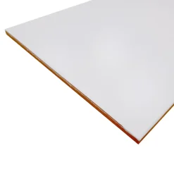 Faïence murale blanc mat L.40 x l.25 cm x ép.8,3 mm, Alexandrina-GoodHome Clearance