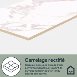 GoodHome Faïence murale effet marbre blanc brillant L.90 x l.30 cm x ép.8,7 mm, Oazis