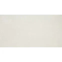 Alaplana Faïence murale en terre cuite effet béton blanc mat L.60 x l.30 cm x ép.8,5 mm, Taris