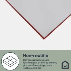 GoodHome Faïence murale gris clair satiné L.60 x l.20 cm x ép.8,3 mm, Plain