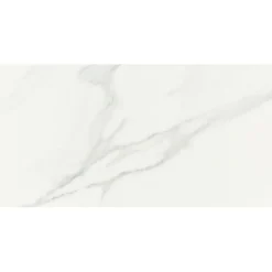 Faïence murale intérieur effet marbre blanc mat L.60 x l.30 cm x ép.8,4 mm, Pune-