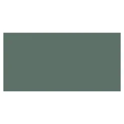 Faïence murale intérieur vert satiné L.60 x l.30 cm x ép.7 mm, Colville-GoodHome Hot