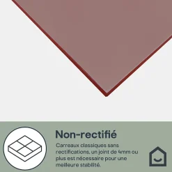 GoodHome Faïence murale rouge L.60 x l.20 cm x ép.8,3 mm, Plain