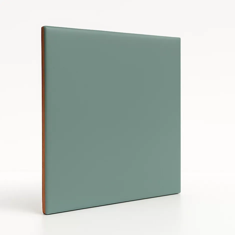 Faïence murale unie vert satin L.20 x l.20 cm, Monocolor- Hot