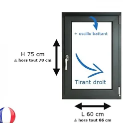 Fenêtre PVC 1 vantail H 75 x L 60 cm OB anthracite pour pose en neuf - tirant droit-Gefradis Outlet