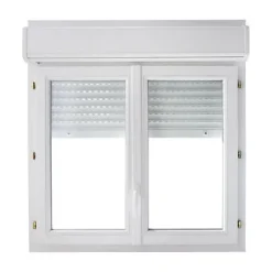Fenêtre PVC 2 vantaux + volet roulant - l.100 x h.175 cm, tirant droit