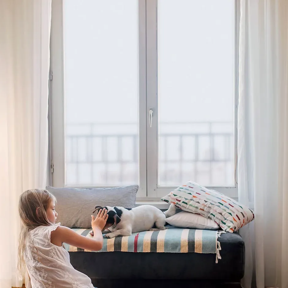 Wallfluent Film décoratif pour vitre 50x146 cm Protège efficacement l'intimité Couleur Unie 1 rol.