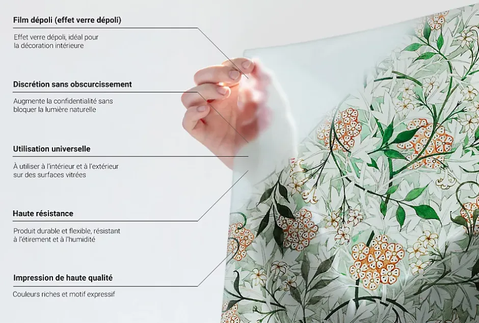 Wallfluent Film décoratif pour vitre 100x116 cm Protège efficacement l'intimité Symétrie Des Plantes 1 rol.