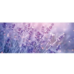 Film Fenêtre Anti Regard Occultant - CHAMP DE LAVANDE - Stickers pour Vitres & Porte de Douche - 40x100cm-Ambiance Sticker Sale