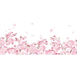 Film Fenêtre Anti Regard Occultant - FLEURS DE CERISIER - Stickers pour Vitres & Porte de Douche - 40x100cm-Ambiance Sticker New