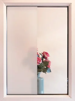 D-C-Fix Film occultant statique pour vitre ® Premium Frost 1.5m x 0.45m