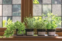 D-C-Fix Film occultant statique pour vitre ® Premium Papier de riz 1.5m x 0.45m