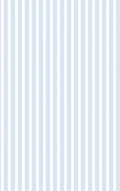 D-C-Fix Film occultant statique pour vitre ® Static Linia 1.5m x 0.45m