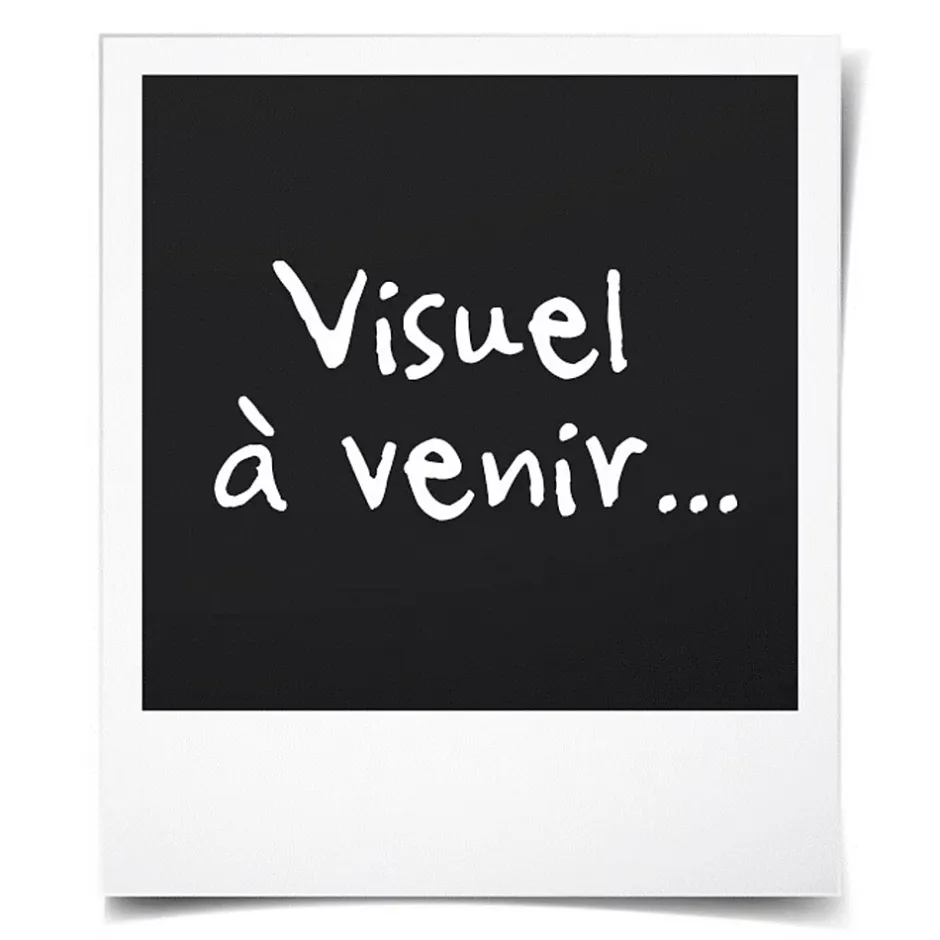 Gd Menuiseries Fixe Lateral Bois Exo Prepeint Blanc H215 X L40 Côte Tableau