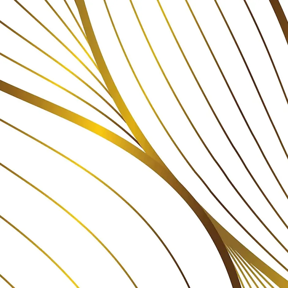 99Deco Lot de 2 panneaux de douche en PVC (90x220 & 120x220 cm) + profilés blanc - Sotma - Blanc et doré