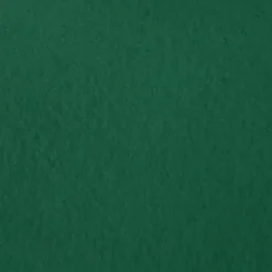 Moquette - Stand Event - Vert sapin - 2 m x 10 ml-Décoweb Hot