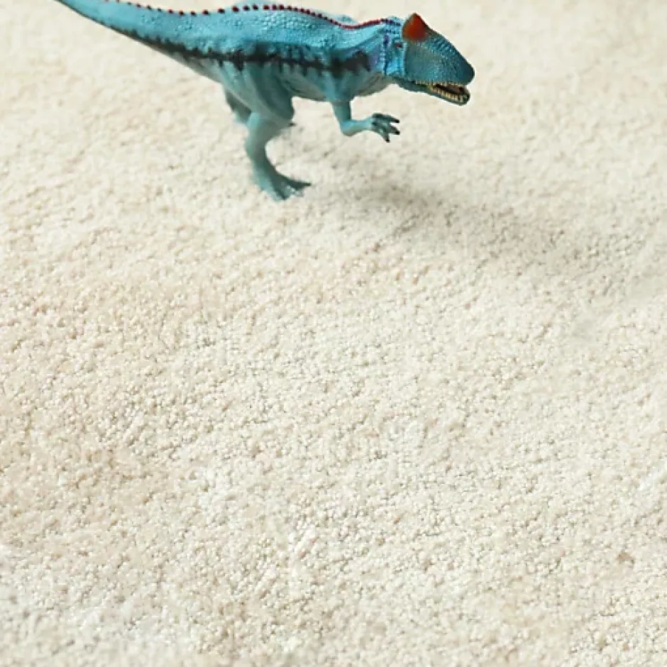 Moquette chambre - Lumicolor - Beige clair - Rouleau de 5m x 4m-Décoweb Best