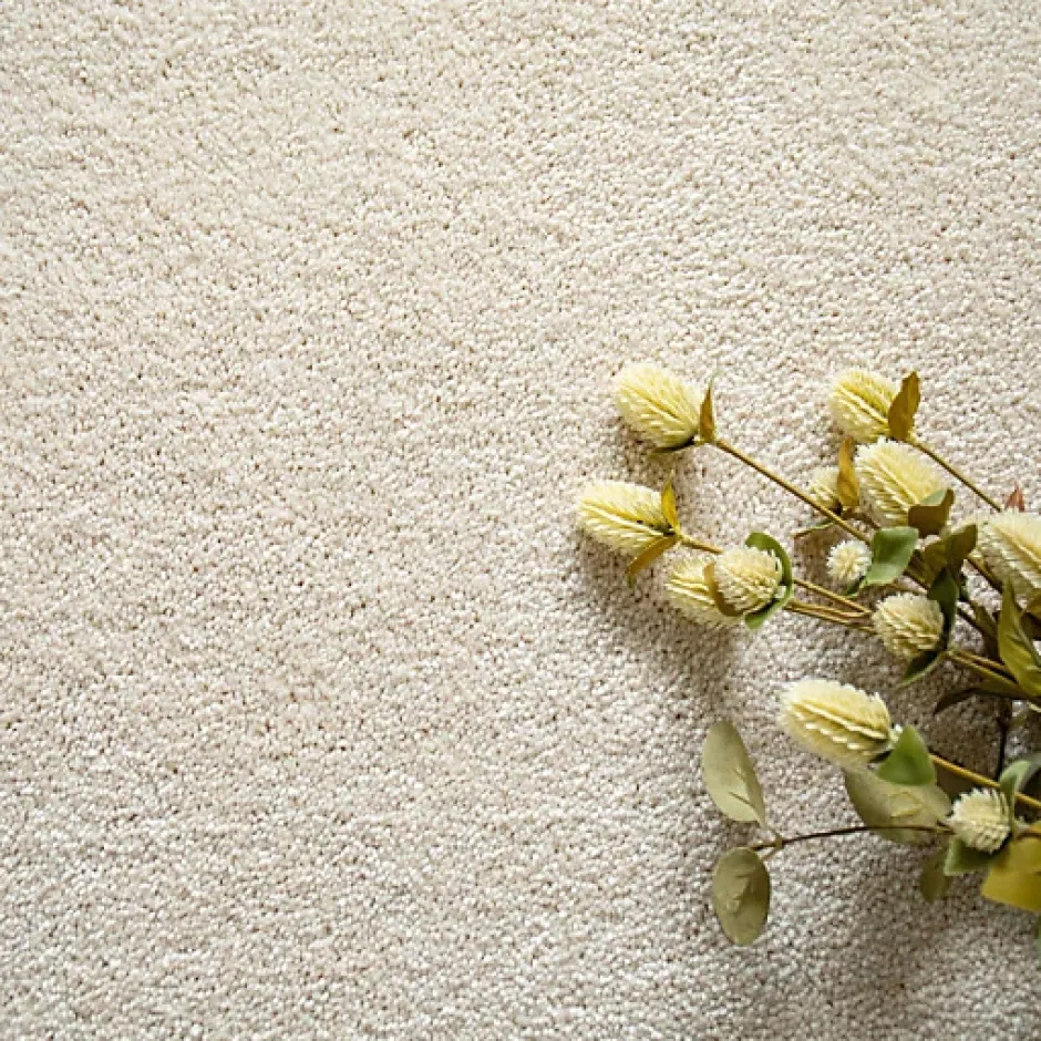 Décoweb Moquette chambre ou salon - Select - Ecru - Rouleau de 5m x 4m