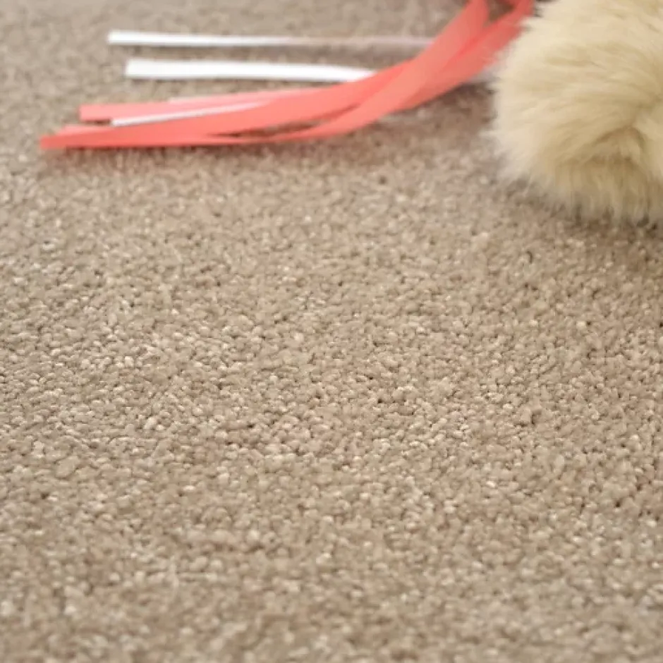 Décoweb Moquette chambre ou salon - Select - Marron clair - Rouleau de 4m x 3m