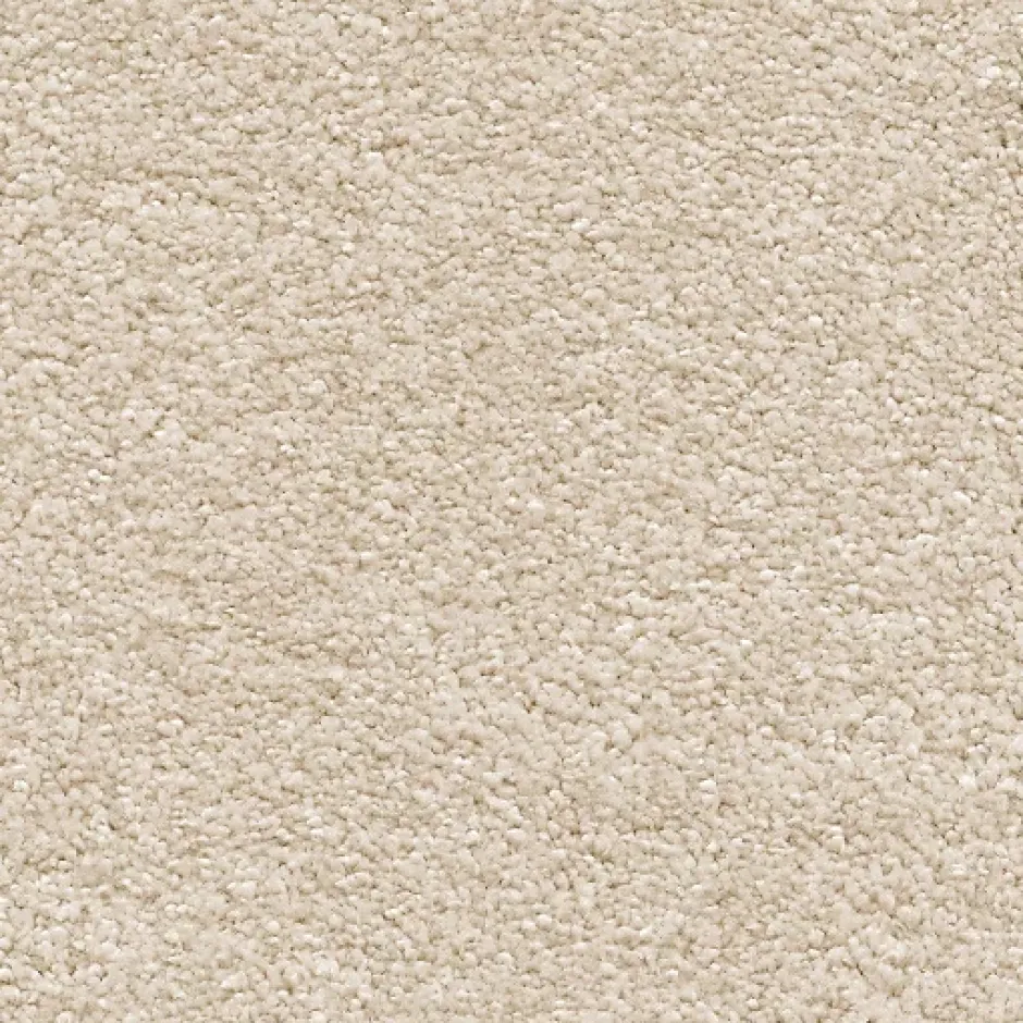 Décoweb Moquette chambre ou salon - Select - Beige clair - Rouleau de 4m x 5m