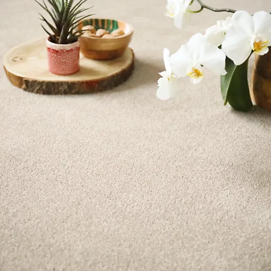 Décoweb Moquette en polyester recyclé - Re-cycle - Beige - Rouleau de 4m x 7m