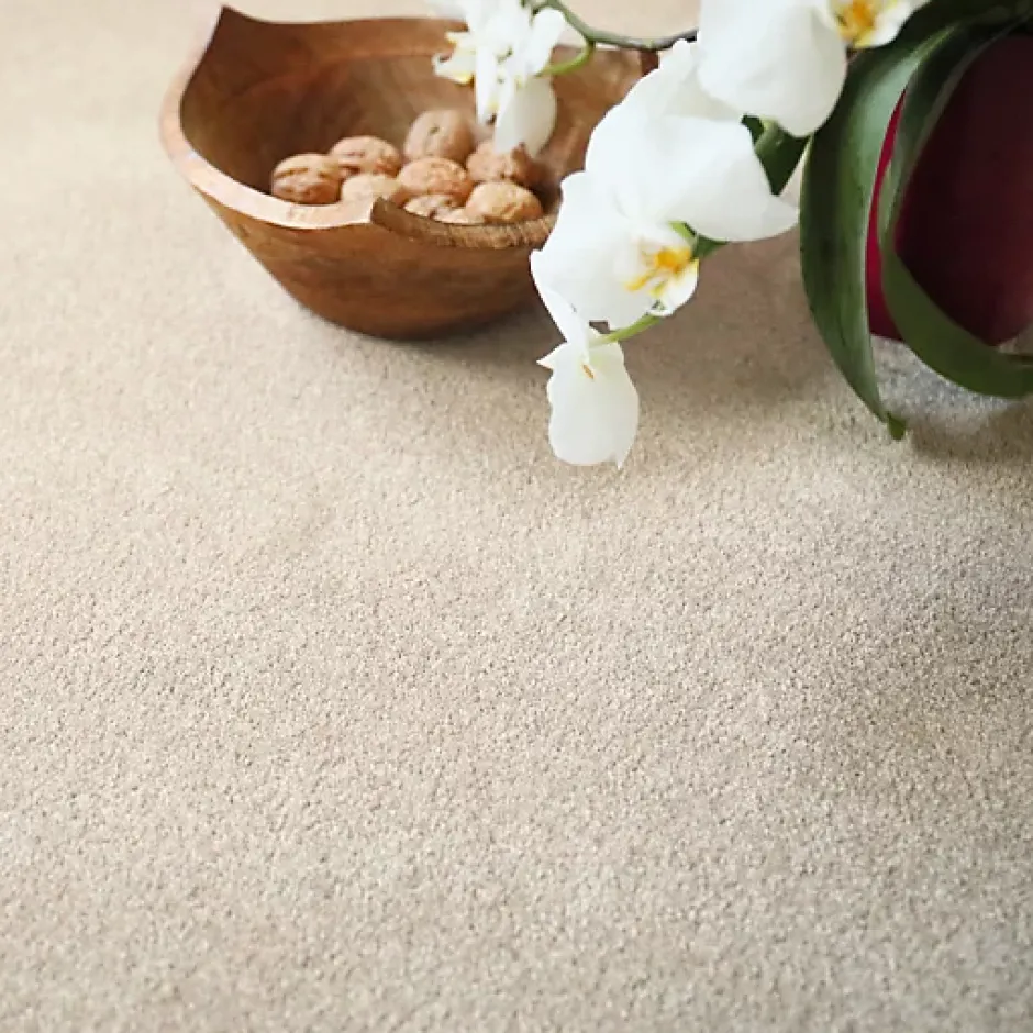 Décoweb Moquette en polyester recyclé - Re-cycle - Beige - Rouleau de 4m x 7m