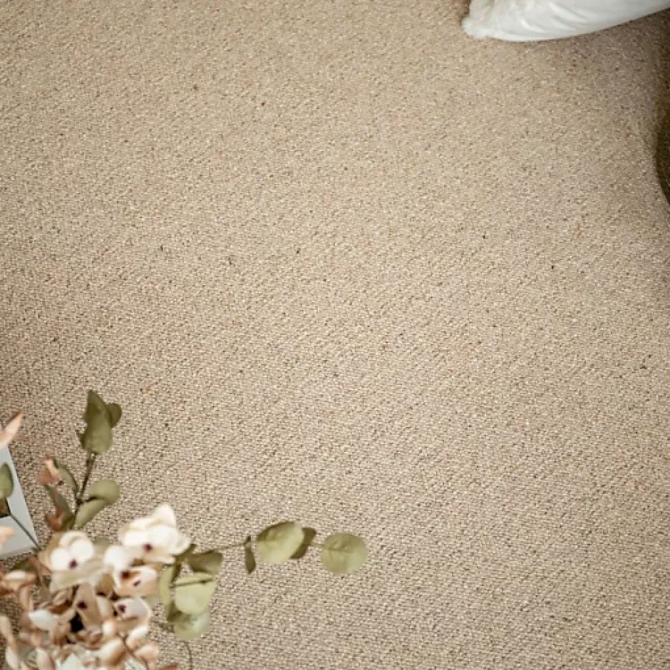 Décoweb Moquette pure laine vierge bouclée - Mallow - Beige - Rouleau de 4m x 1m