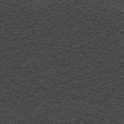 Décoweb Moquette Stand Event - Gris souris - 2 m x 10 ml