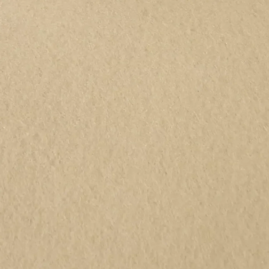 Moquette Stand Expo - Sable - Rouleau de 2m x 49m-Décoweb Discount