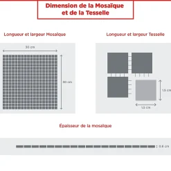 Casa Linéa MOSAIQUE ANTIQUES BAROQUE 1 PLAQUE 30 x 30 CM CASA LINEA