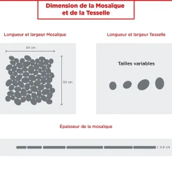 Casa Linéa MOSAIQUE GALET SCIE CREME 1 PLAQUE 30 x 30 CM CASA LINEA