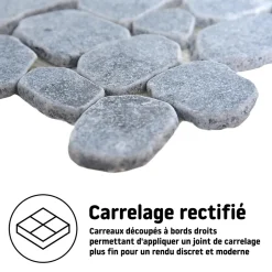 Mosaïque sol et mur en pierre gris clair L.30,5 x l.30,5 cm x ép.8 mm, Malaca