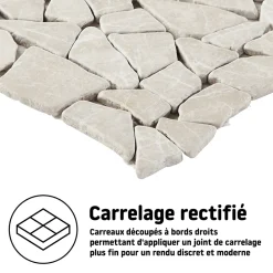 Mosaïque sol et mur en pierre beige L.31,5 x 31,5 cm x ép.8 mm, Bohai