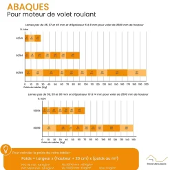 Bubendorff Moteur Universel 10 Nm, Radio R, avec Émetteur et Adaptateur 2.0, pour Volet Roulant