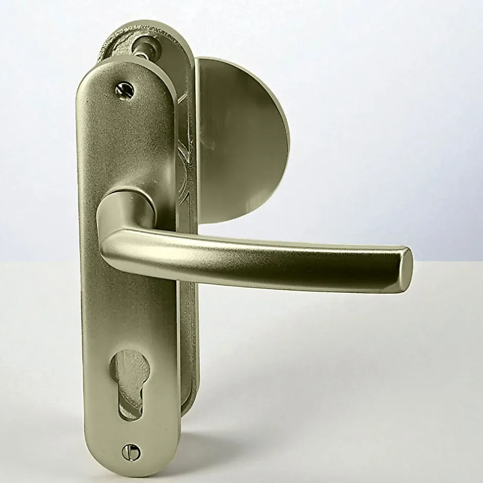 Paire poignées de porte aluminium blindée Bricard Osmose 190 mm béquille aileron trou cylindre-Autres Hot