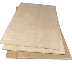Forestea Panneau contreplaqué okoumé twin 800 x 600 x 10 mm