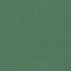 Panneau médium teinté dans la masse Forescolor vert 80 x 40,5 cm, ép.16 mm-Produx