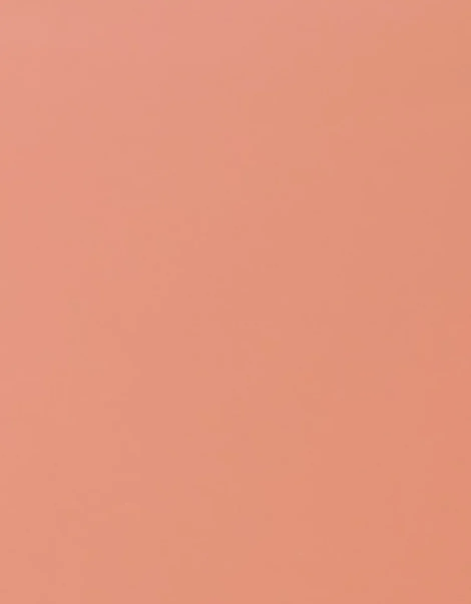 Panneau mélaminé Ninna prédécoupé terracotta 280X60X2.2cm- Sale