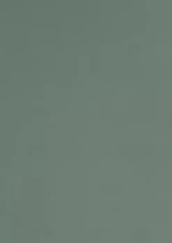 Panneau mélaminé Ninna prédécoupé vert olive 280X90X2.2cm