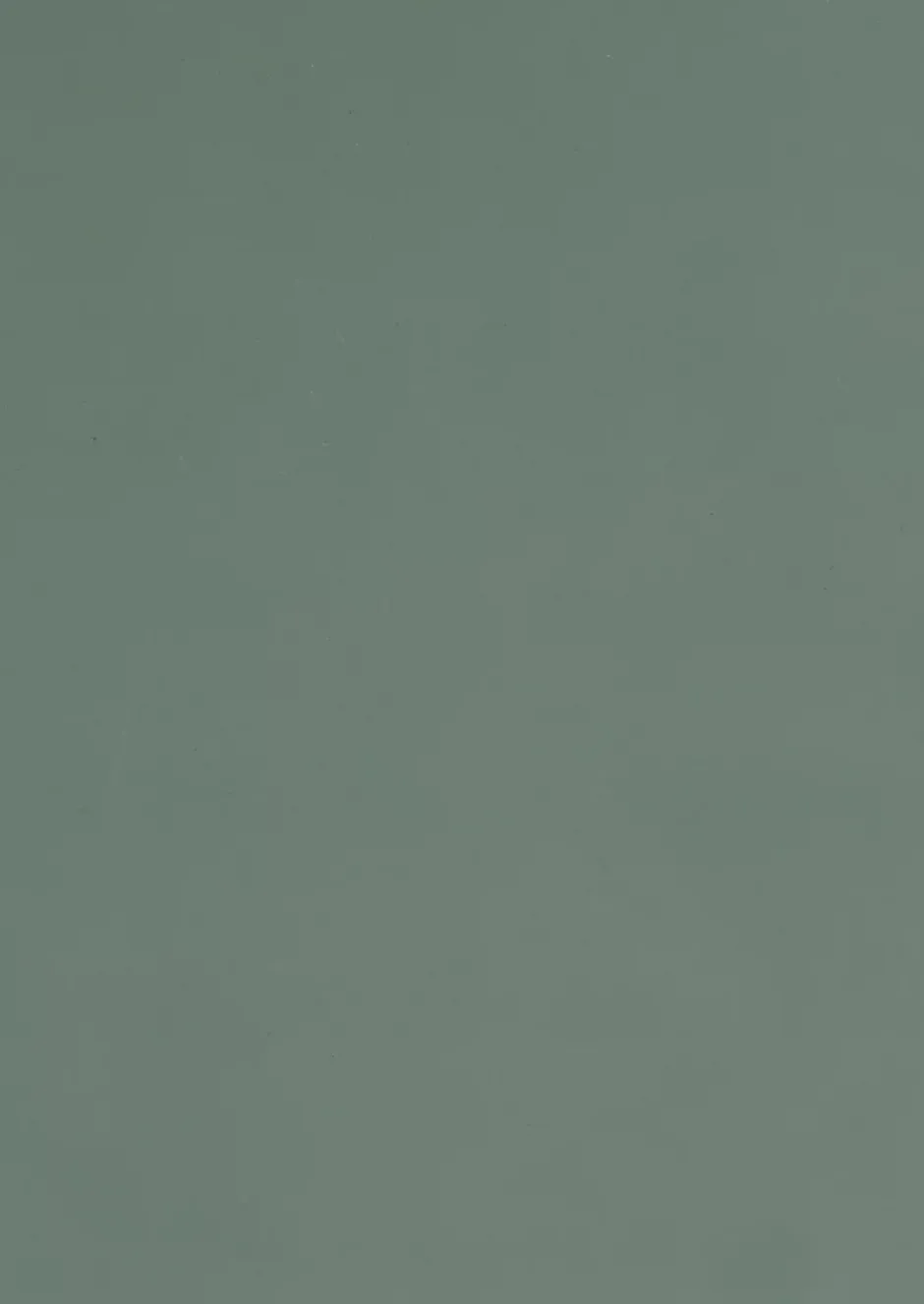 Panneau mélaminé Ninna prédécoupé vert olive 280X80X2.2cm- Outlet