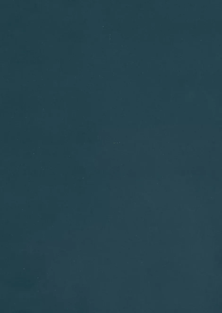 Panneau mélaminé Ninna prédécoupé bleau abysse 280X60X2.2cm-