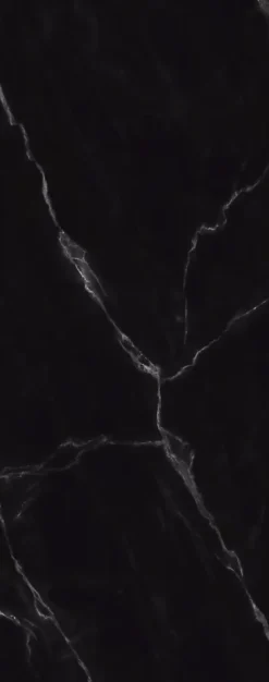 Schulte Panneau mural de salle de bains l.100x255 cm, décor marbre de Carrare noir Softtouch, DécoDesign