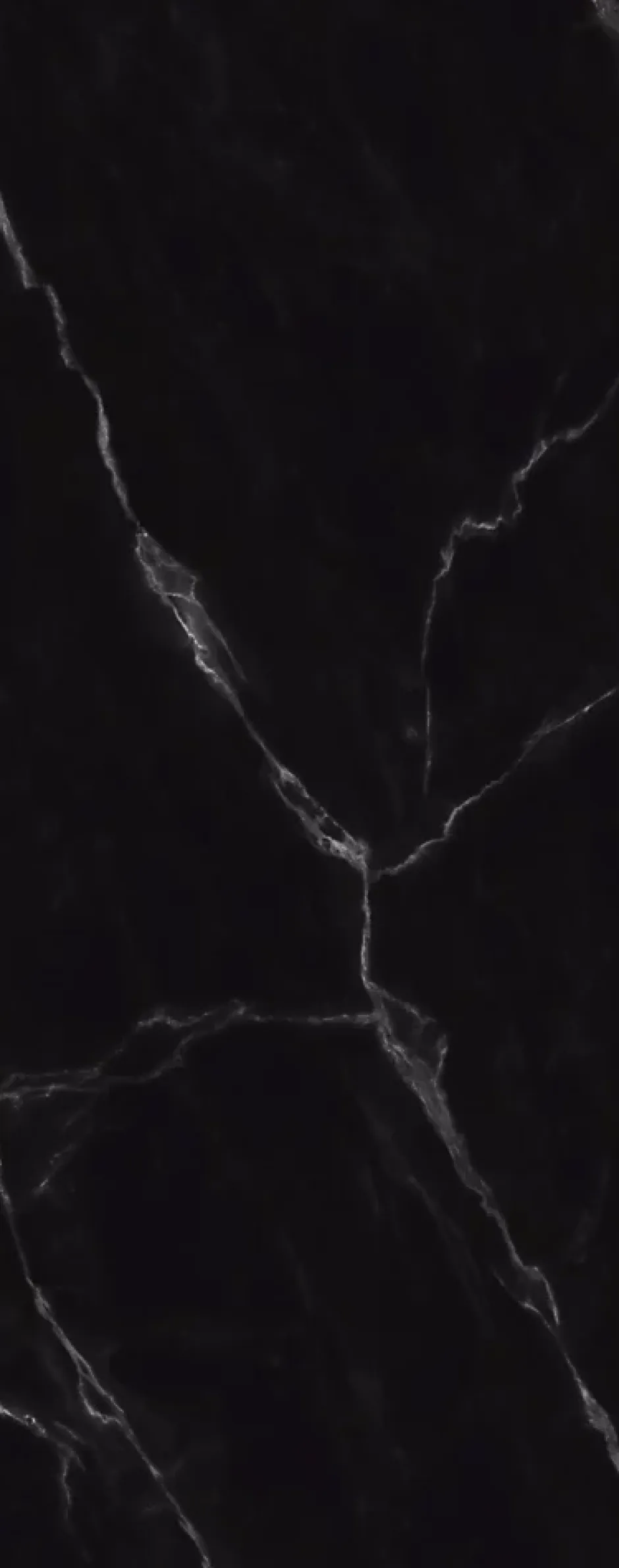 Schulte Panneau mural de salle de bains l.100x255 cm, décor marbre de Carrare noir Softtouch, DécoDesign