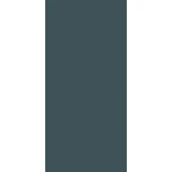 Schulte Panneau mural de salle de bains l.90 x H.210 cm, anthracite, Décodesign couleur vendu par 2