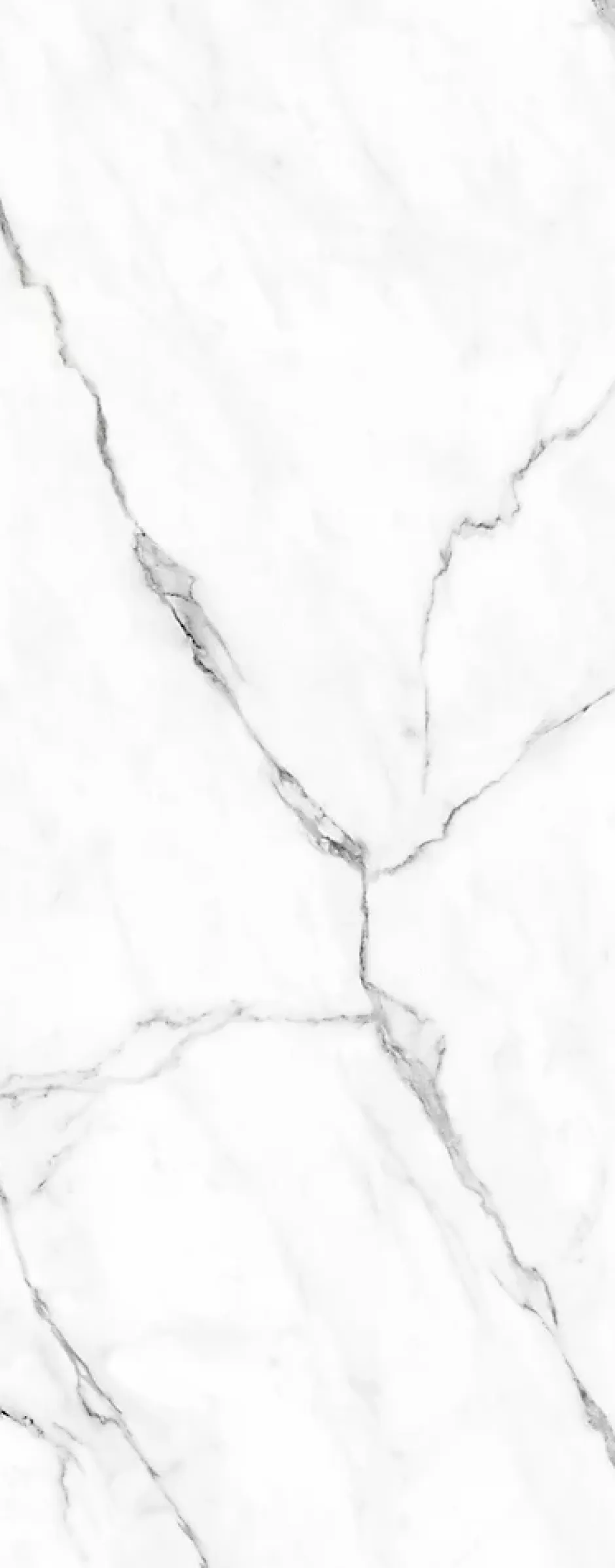 Schulte Panneau mural de salle de bains l.100 x H.255 cm, effet marbre de carrare blanc brillant, Décodesign Brio vendu par 2