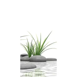 Schulte Panneau mural de salle de bains l.90 x H.210 cm, pierres zen et herbes, DécoDesign Photo