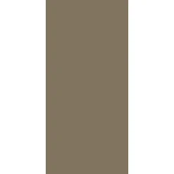 Schulte Panneau mural de salle de bains l.90 x H.210 cm, taupe, DécoDesign Couleur