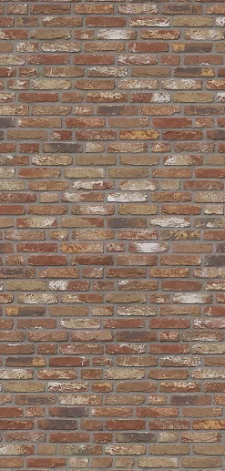Schulte Panneau mural de salle de bains l.100 x H.210 cm, effet brique industrielle rouge, DécoDesign