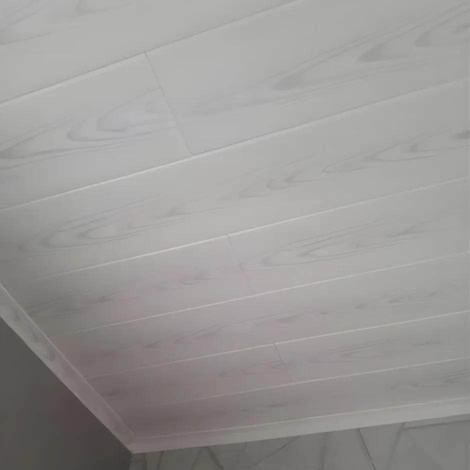 Deccart Panneaux de plafond et panneaux muraux Decoratif P02 6m² / 36pièces